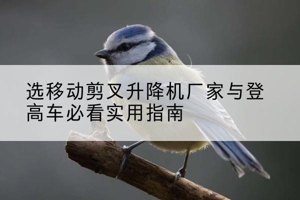 东乌珠穆沁旗电动升降机厂家-选移动剪叉升降机厂家与登高车必看实用指南
