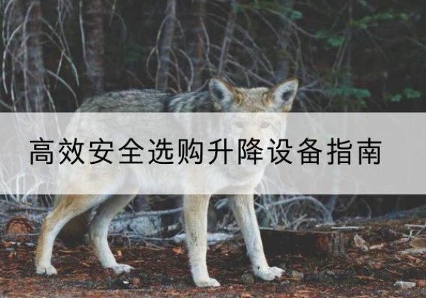 东乌珠穆沁旗升降货梯厂家推荐-*安全选购升降设备指南