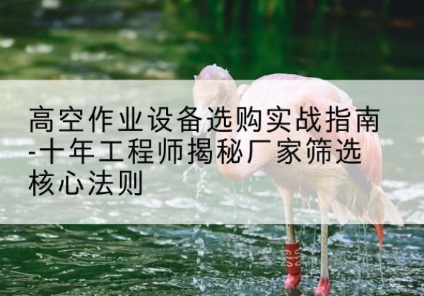 东乌珠穆沁旗剪叉式升降机厂家-高空作业设备选购实战指南-十年工程师揭秘厂家筛选核心法则